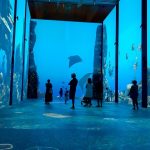 Oceanographic-Museum-Monaco-3.jpg