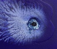 Exhibition – “Miquel Barceló, Oceanographer”