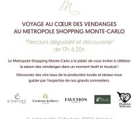Tasting and Discovery Journey