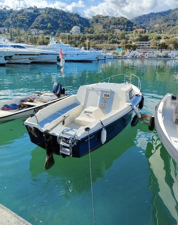 Fishing or Cruising Boat

Type: Motor boat
Length:..