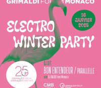 Electro Winter Party