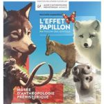 4-musee-danthropo-effet-papillon-affiche