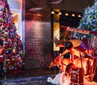 Espace Calypso – New Year’s Day Brunch
