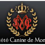 in-logo