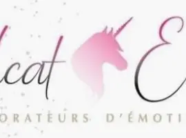 Belcat Events