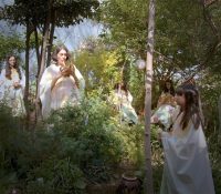 The Canticle of the Birds