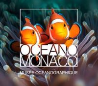 Vivre l’Océan – Ocean Discovery Activities