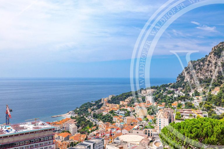 Stunning 2-Bedroom Penthouse Close to Monaco
