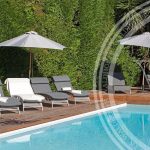 Villa Sea Garden – Roquebrune-Cap-Martin – Gallery 5
