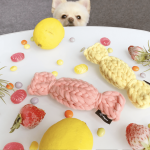 candy_4-1536×1232.png