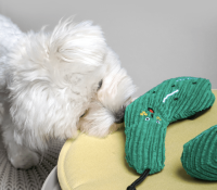 Nose Work Cucumber Toy – Interactive Plush for Dog..