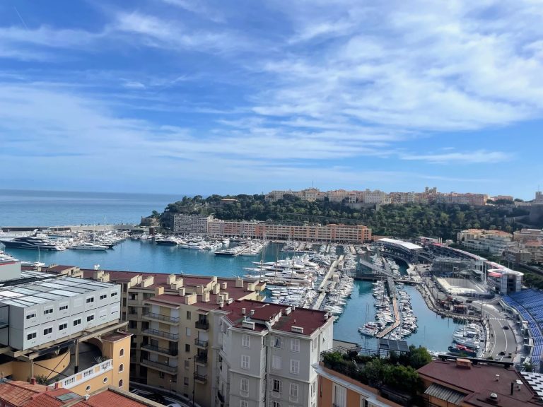 Exceptional penthouse with large terrace overlooking the port – Rose de France