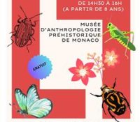 Interactive Workshop – “Discovering Insects”