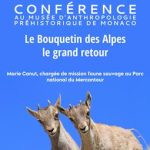 1-bouquetin