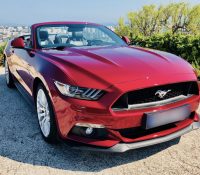 Ford Mustang GT 500 Rental

The Ford Mustang GT 50..