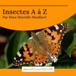 2-re-conference-les-insectes-de-a-a-z-le-02-04-a-18-h-au-musee-d-anthropologie-prehistorique-conferenciere-murielle-mouflard
