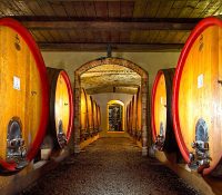Barolo Wine Investment Fund Luncheon