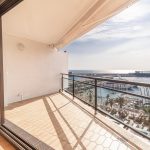 MIELLS-apartment-monaco-spacious-1-bedroom-apartment-in-the-golden-square-louer-MP-2869-106333.jpg