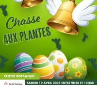 Plant Hunting – Botanical Easter Fun