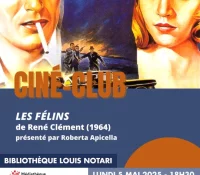Film Club: The Felines