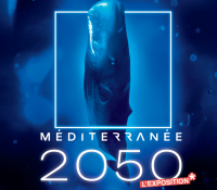 Exhibition – “Mediterranean 2050”