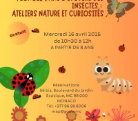Insect Discovery Workshop – The Butterfly Effect