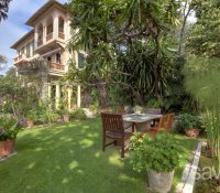 Exotic garden Belle Epoque