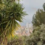 Plot for Sale: Scenic 1400 m² in Beausoleil, France – Gallery 3
