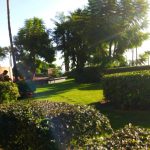 IMG-20241030-WA0004-Copia-1000×510-1