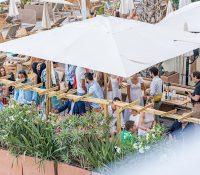 Beach Meetup in Monaco – Business Club x IUM Entrepreneurship Club
