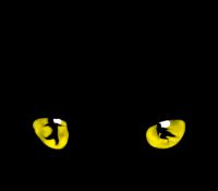 Cats – The Musical