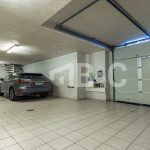 074a0319-1648120146