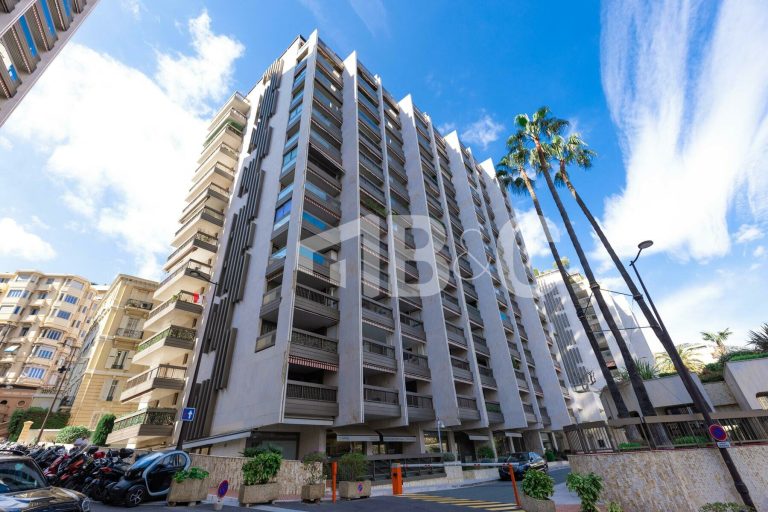 FOR SALE – RENOVATED 1-BEDROOM IN PARK PALACE, CAR..