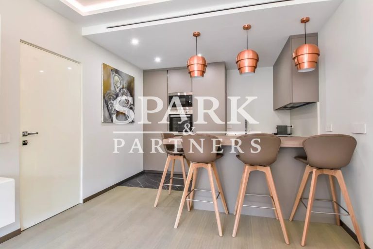 Charming 2-Room Apartment with Terrace – La Rousse..