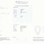 3825_certificat_de_grisogono-1.jpeg