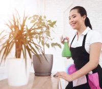 Looking for a housekeeper/ cook for a family of 4 ..