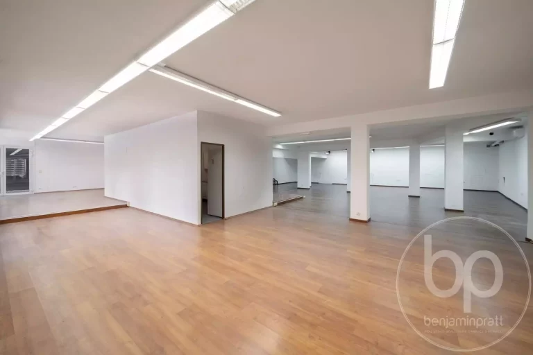 MONACO CENTER – COMMERCIAL / OFFICE SPACE IN PRIME..