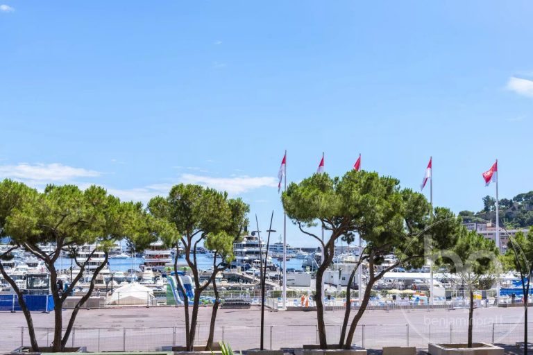 MONACO HARBOR – RARE 7-ROOM APARTMENT WITH MIXED U..