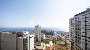 2 APARTMENTS TO MERGE – PATIO PALACE, MONACO
Price..
