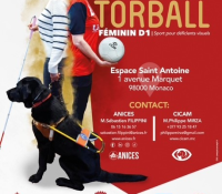 French TORBALL Women’s Championship D1