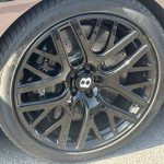 IMG_0850-3-scaled-1