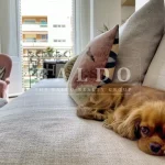 MB0032_18_LA_RADIEUSE_BALDO_REALTY_GROUP_LA_RADIUSE-scaled-1
