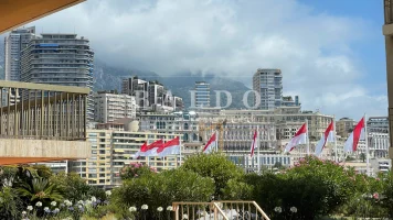 RENOVATED 2-BEDROOM APARTMENT – LE PETREL, CONDAMI..