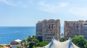 RENOVATED DESIGNER APARTMENT IN FONTVIEILLE – 75 S..