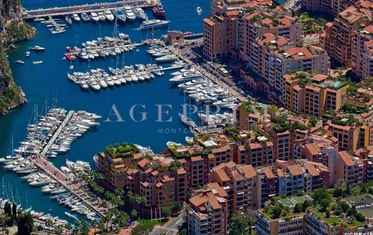 FOR SALE – BRIGHT OFFICES WITH SHOP WINDOW – LE MI..