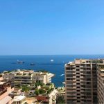 dotta_appartement_de_2_pieces_a_vendre_-_chateau_perigord_ii_-_la_rousse_-_monaco_1-1