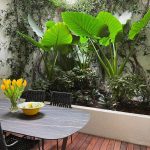 dotta_appartement_de_2_pieces_a_vendre_-_le_stella_-_la_condamine_-_monaco_image4