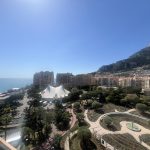 dotta_appartement_de_2_pieces_a_vendre_-_rosa_maris_-_fontvieille_-_monaco_image00009-1