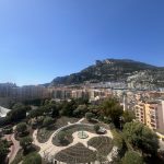 dotta_appartement_de_2_pieces_a_vendre_-_rosa_maris_-_fontvieille_-_monaco_image00010