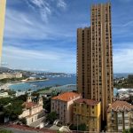 dotta_appartement_de_4_pieces_a_vendre_-_palais_sijean_-_monte-carlo_-_monaco_a